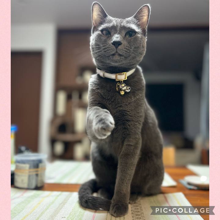 F218325c a185 46ee 9994 4e94187efb55 1685881543863