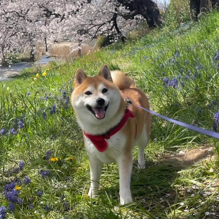 F218560d a918 4c3c 8941 773407809781 1773457226341