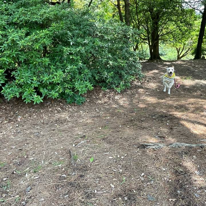 F21859be 5e47 4b2b 8b87 de1ddbad8c0e 1621944467935