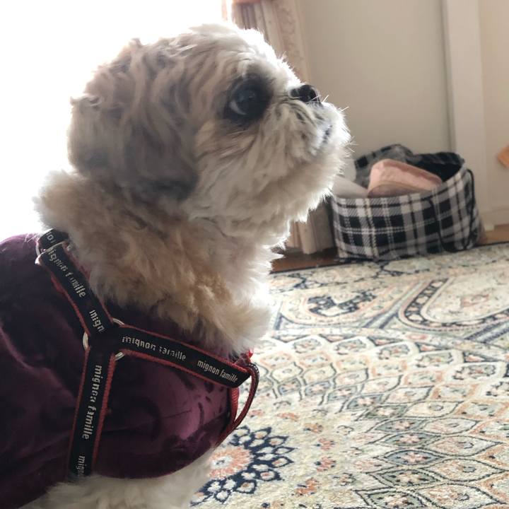 F21873ec 19bc 46a7 aa43 485eb193498e 1581889214334