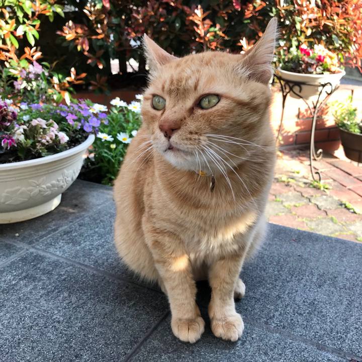 F2187cae e1f2 4352 8af2 fb29b3fe9e6c 1522052269100