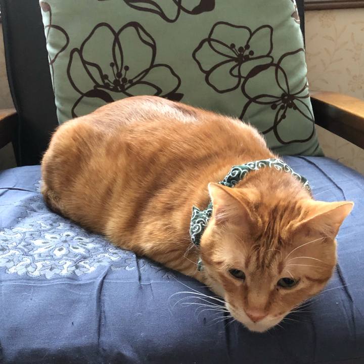 F21892e7 0355 4fe0 a21e a7e7d1bc7c89 1575756832513