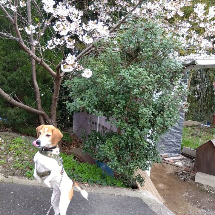 F218be81 7017 4de5 86dd bbdb3cbf3d08 1712238970407