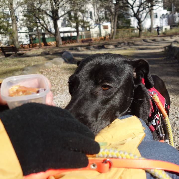 F218c562 c2b6 449d 8bfe 1bb15c36a3b0 1582851400187