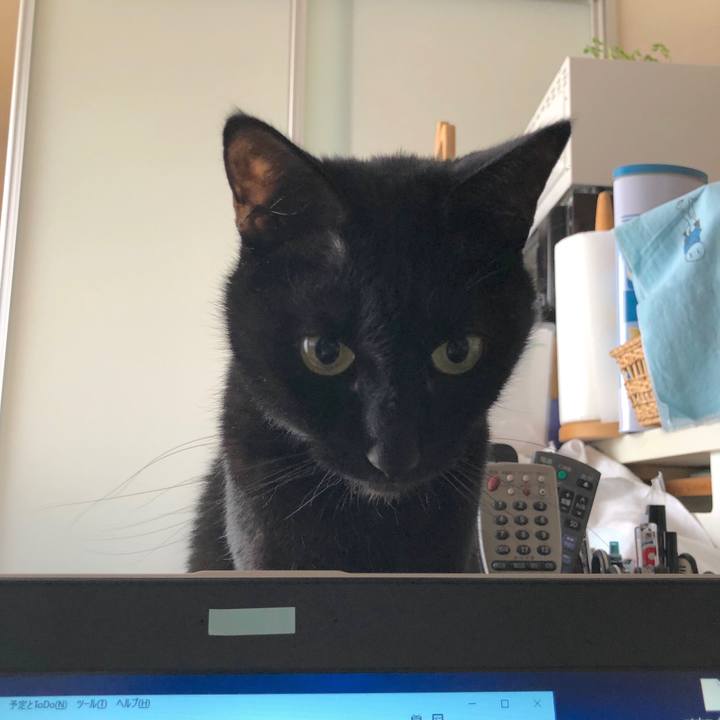 F218d17e 30e8 49df 8eff 4a950553e12c 1587040671346