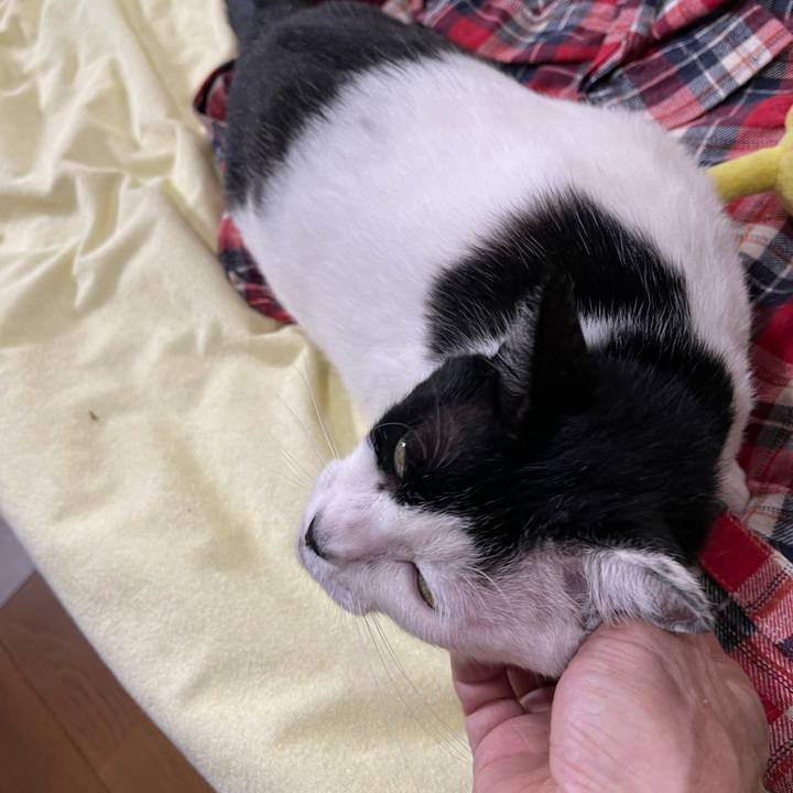 F218ebff 95d6 4111 b3a2 5cf405af1565 1760338251306