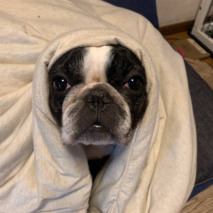 F218f353 4f9a 4288 80ca 3cb5ca5c7a22 1572956737606