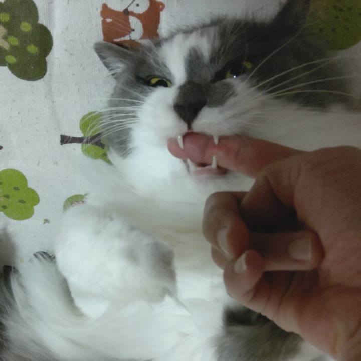 F2192f31 8252 4b18 9c3d f1310f0b2f5f 1619863704972