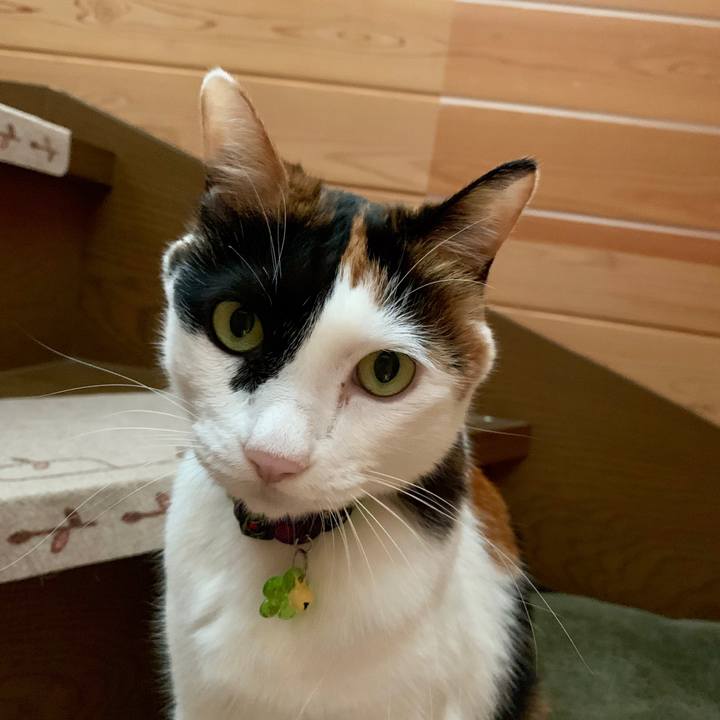 F2197627 6140 4854 b75c 870aca0aaa57 1566799864178