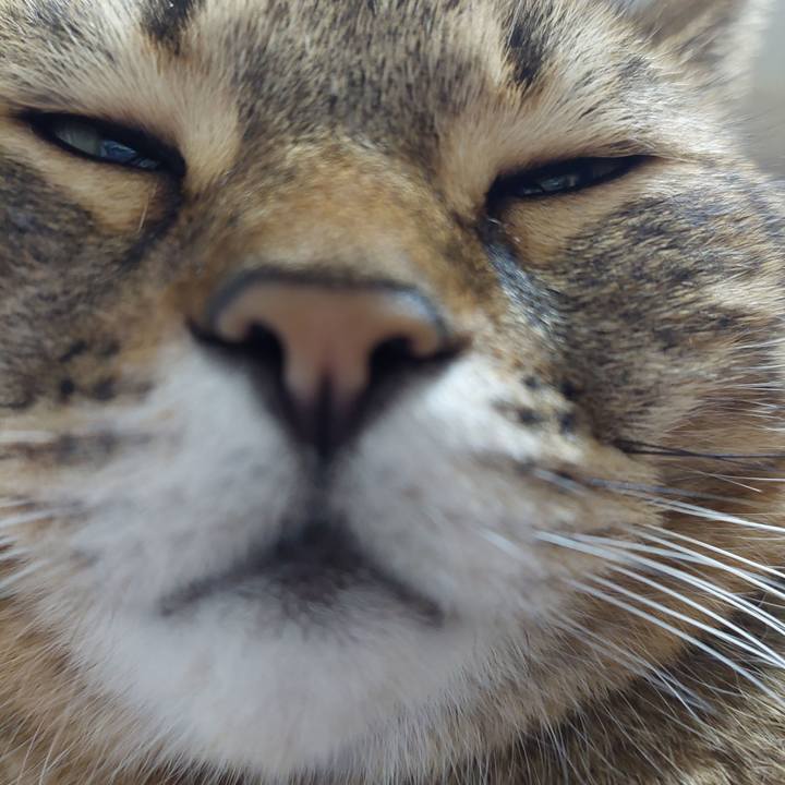 F219a0eb fbbc 4133 b8d6 5e7246e2810a 1634213660766