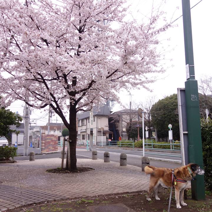 F219f0d0 5281 45d4 b93c 5c5c09d7d984 1662162967485