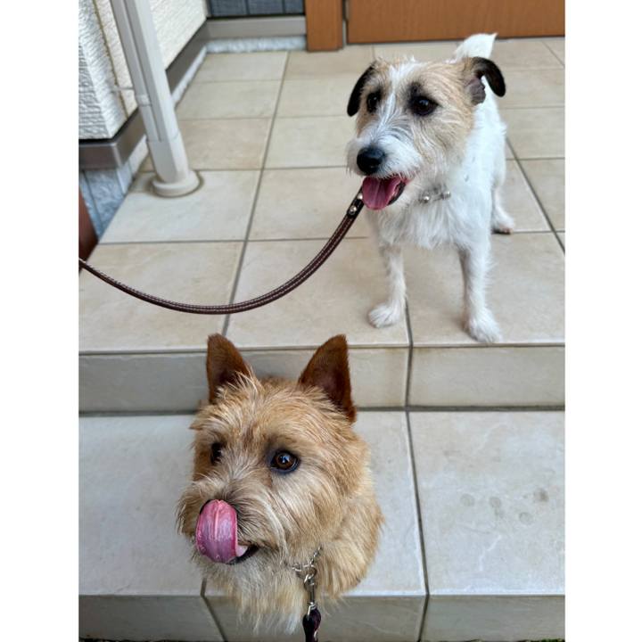 F21a329f 4c01 447b 9da1 01e11105ec7e 1746284594974