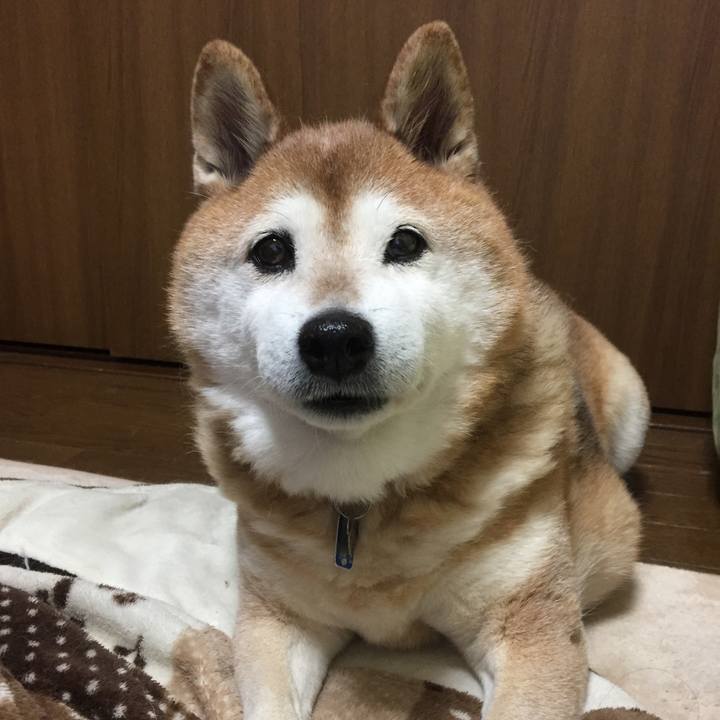 F21a36aa e766 4f1a adcd 564c02d29c83 1548079012060