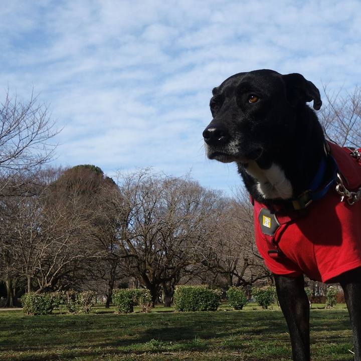 F21a42cb 9b72 4caf 8f52 e64ba95c3ba3 1677288885122