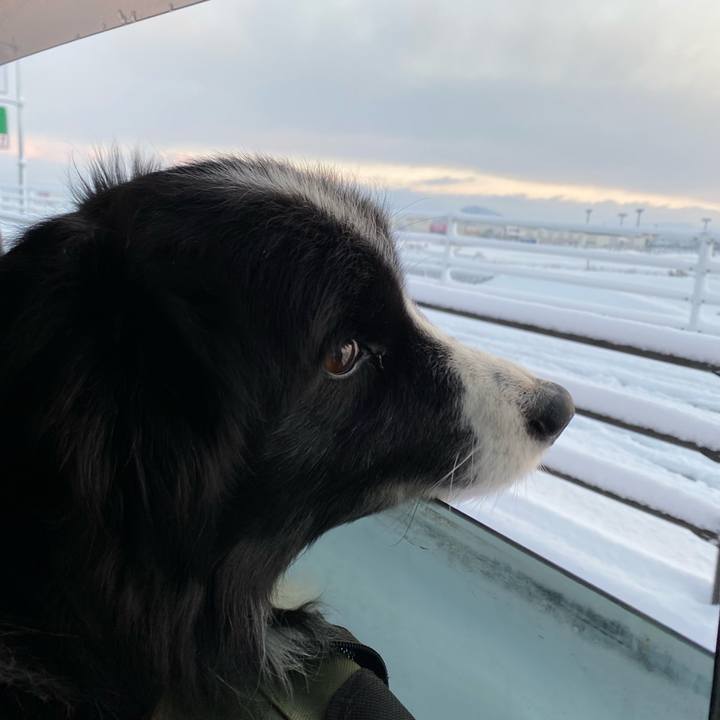 F21a529d e1ca 42eb a7bb 43df38bf8094 1610148160648