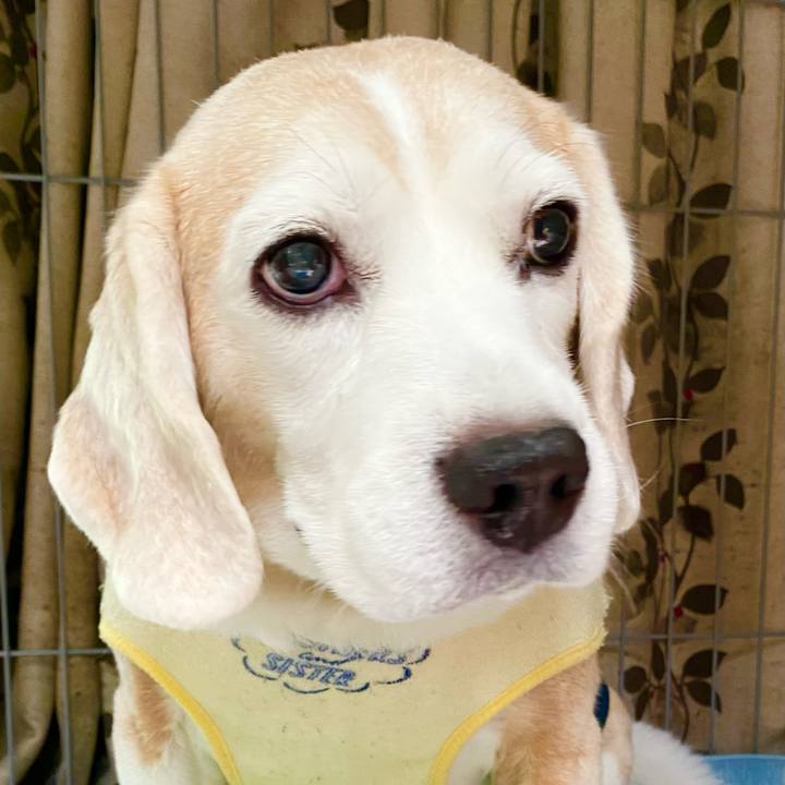 F21a6557 5515 4a7e 81b5 a193a08b2aa7 1656041716599