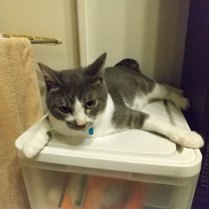 F21a67c2 f856 42c1 a5d5 eaece31c4bf2 1600005907775