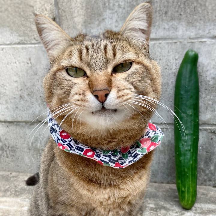 F21a6fb3 3ced 4e54 b23e 6abf760ff388 1655081386598