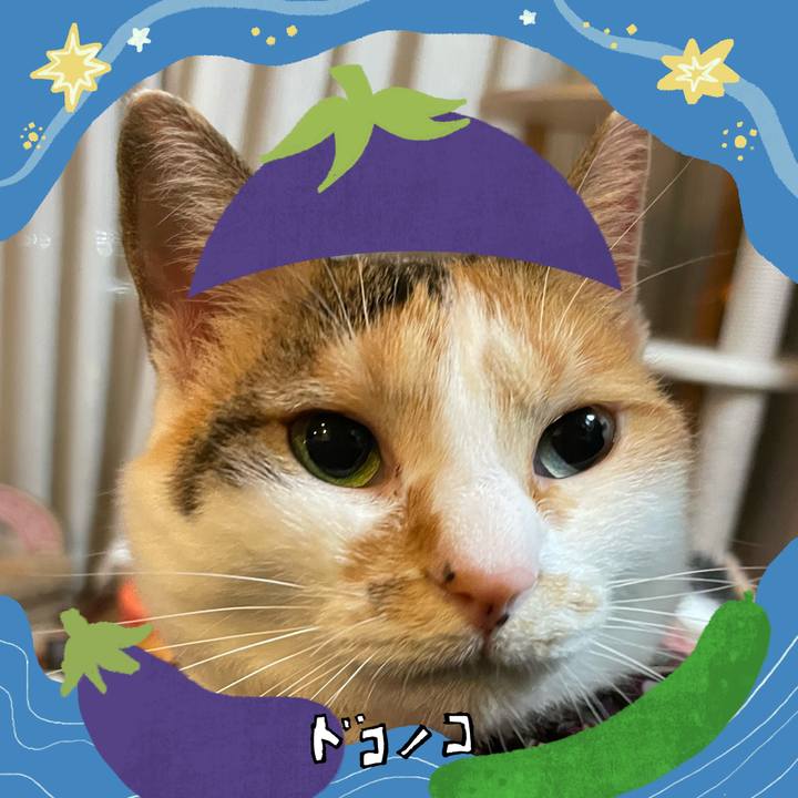 F21a7f4b f765 4f74 b627 2e1bc9a025a4 1755091714910