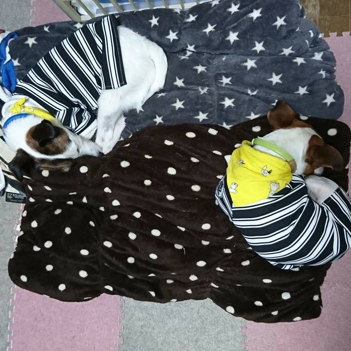 F21ad227 57fc 4a92 9661 37cb63862a3c 1552208180234