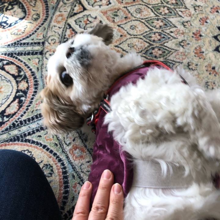 F21b21a1 c3c8 491e a07c 0b57aa14977a 1582493870238