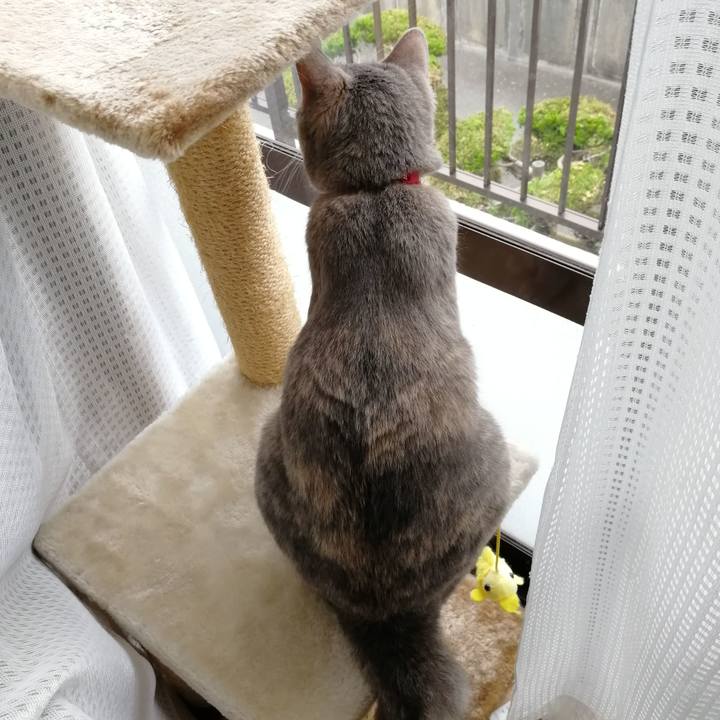 F21b4c27 2d0e 4058 be65 f29ccff55c79 1532832070603