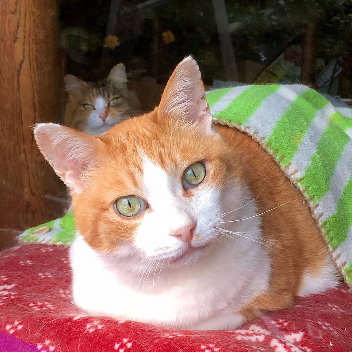 F21b6656 5f13 492d adb6 e7e725a27f40 1618620168942