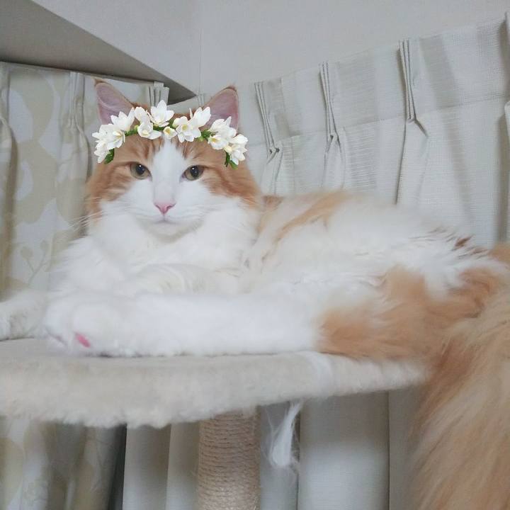 F21b7084 daf4 4a12 8ca8 0fc5c4b33d3f 1563029061815