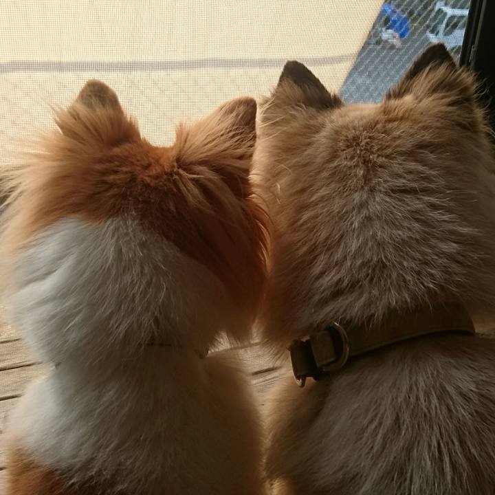 F21b7d62 68f6 4391 b00b a67ac0c76de1 1601640603831