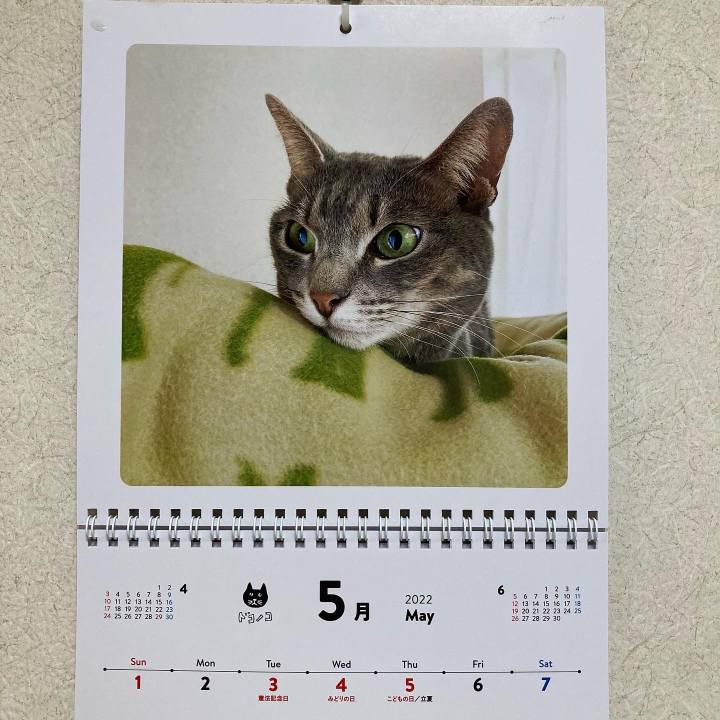 F21c535a e9ef 4ff9 9bad f82f0af94a15 1651405531127