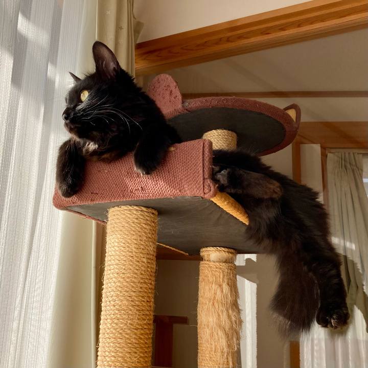 F21c6bc9 fbce 4629 b4df 286d275d42d0 1735028749522