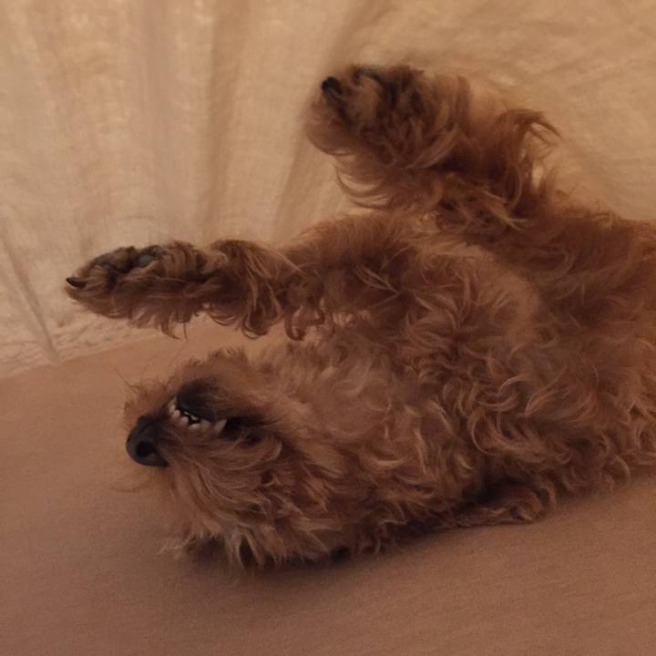 F21c6fe3 2c49 480a 922f 655b976ad6c4 1508332294427