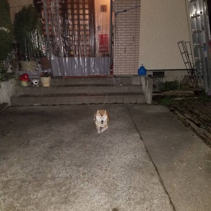 F21c820b 9550 4ae8 ac20 f909d6933c90 1638363032971