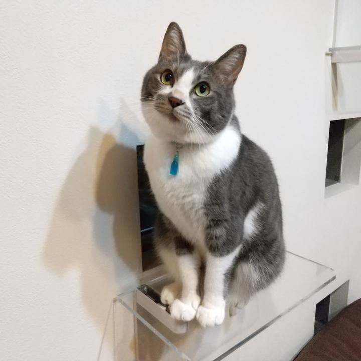 F21c8219 fa28 45d2 a447 a9b7416f87fc 1635601618063