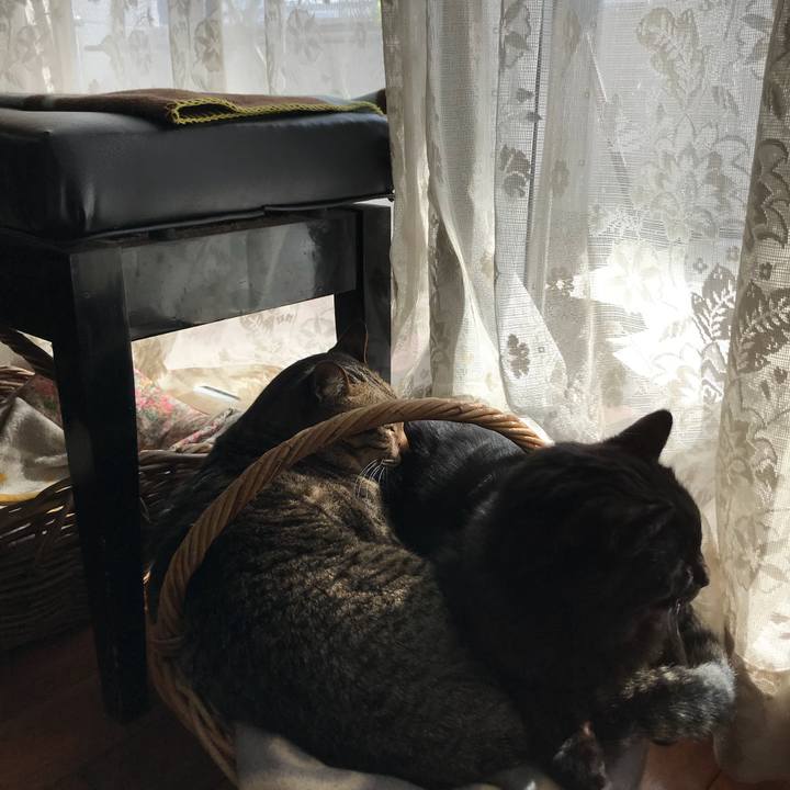 F21c93c4 f96a 4601 bcd7 4a82d35b2c6f 1520835001669