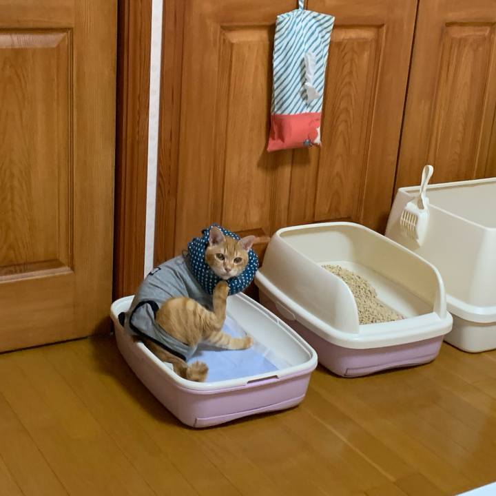 F21c9d92 3293 497e b77b 189a9f6d7656 1635776570267