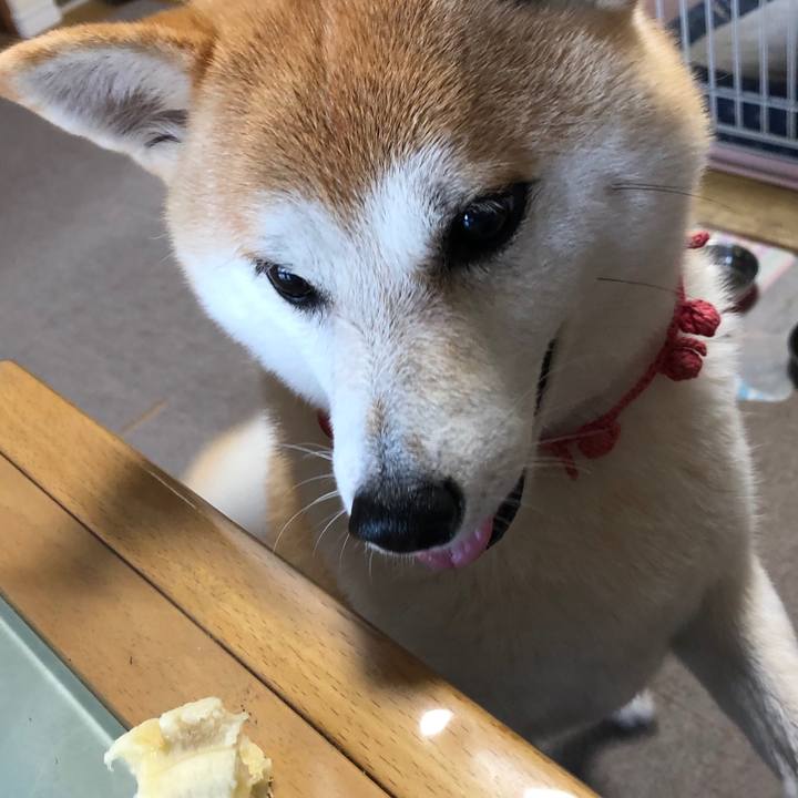 F21cf76f 06e0 4f79 8f5a 1f2de317d304 1567205140999