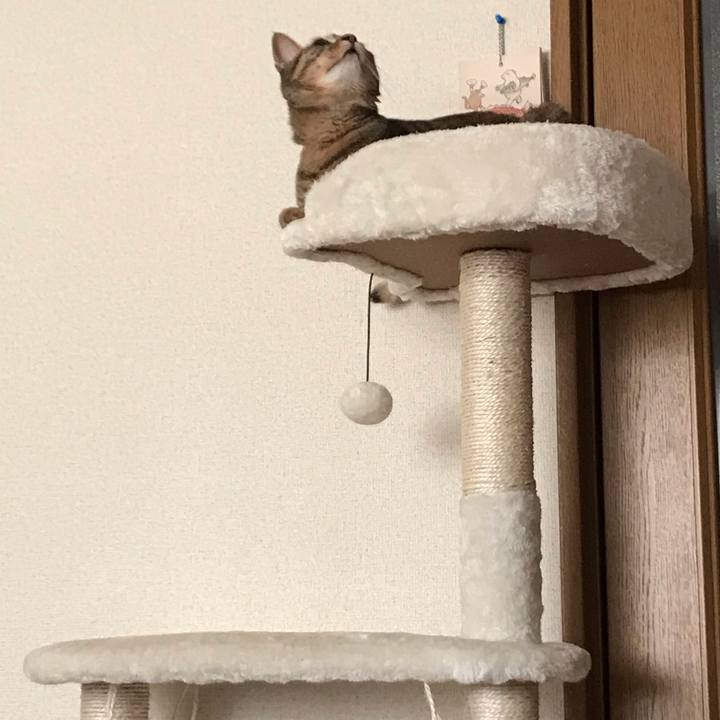 F21cfb3a cc16 42e1 a624 4b22de1cae7f 1593207972121