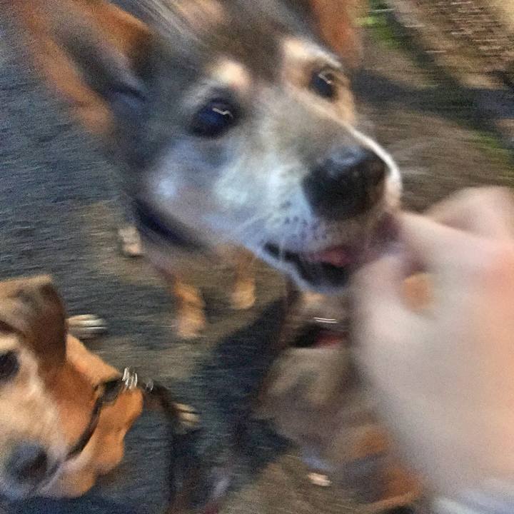 F21d0d2e 0275 4032 b6c9 0b1c78d0c3e2 1521022779431