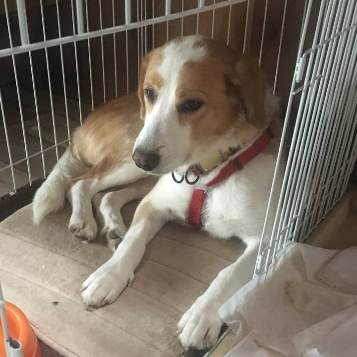 F21d2ac2 ac46 42d4 8c7a 67c67559b22a 1508472811848