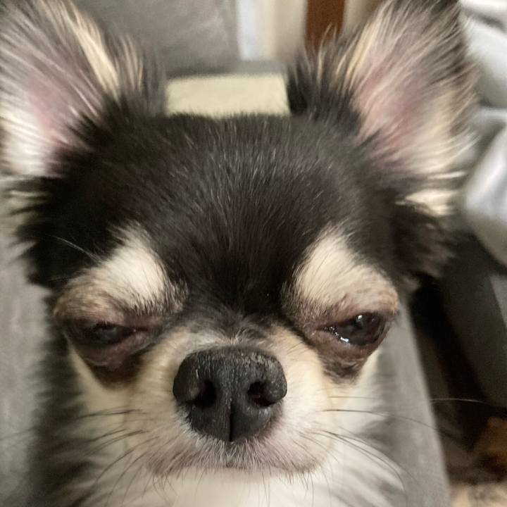 F21d50e8 2503 41b9 ba7c 2248fb926d35 1620564040783