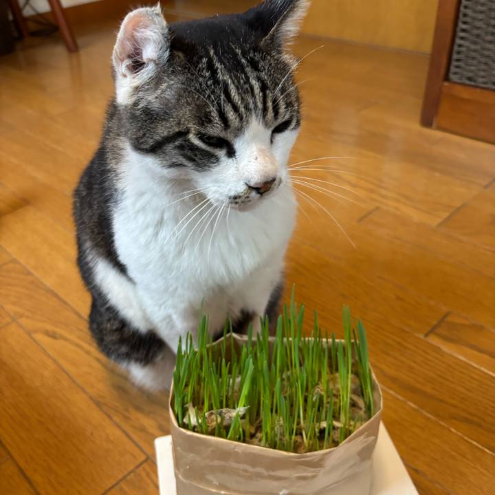 F21d553e d1b4 49c4 9677 fa9faedf082f 1748039013515