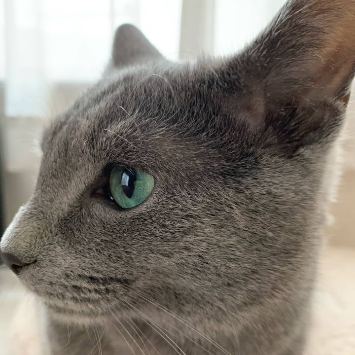 F21d6156 97df 4c13 9683 6595418585ec 1583816482431