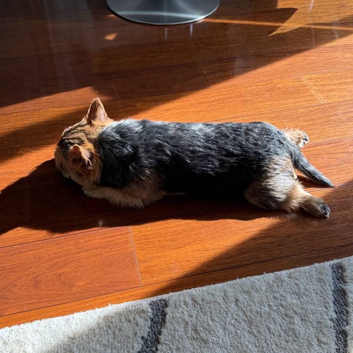 F21d6adf 0aea 4a32 99c8 36e91de2e1bf 1762215224928