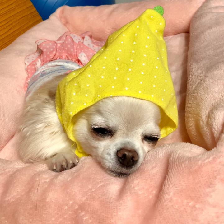 F21d6ffc 2fcc 486c a735 f08a6e0466d9 1533477765883