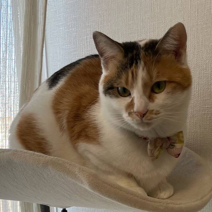 F21d8da1 19d3 4c5e a804 88691d50daa8 1638228903473