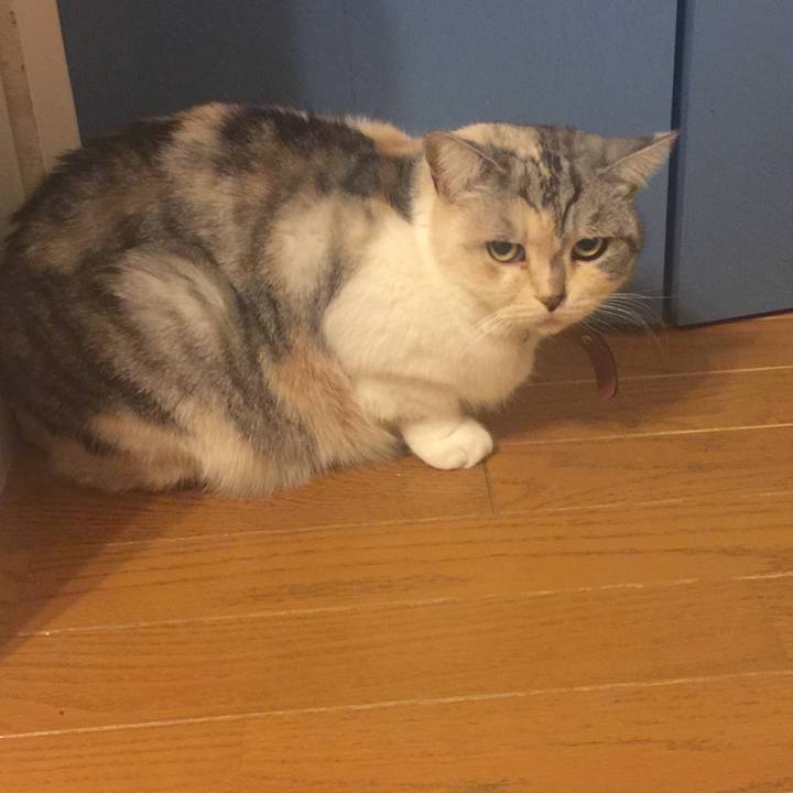 F21dbcf0 f0e1 469c b93a 11f7b13c6e65 1548862246383