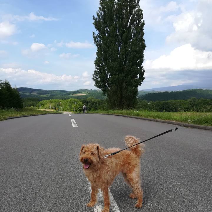 F21dcaa9 ef7e 433c 984c b0e0249b1ef6 1530410027655