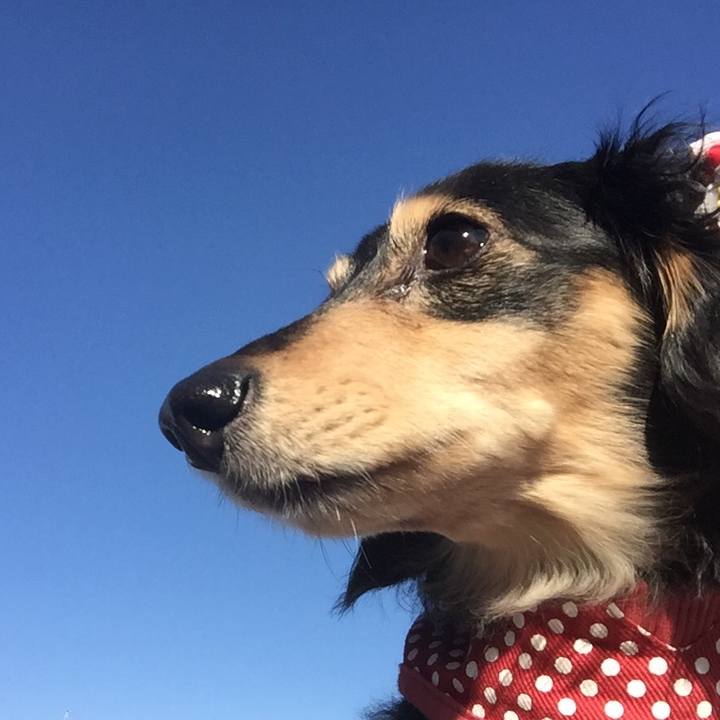 F21deddb 1f7d 4fb2 a8fb 92904b6bbbe5 1519344773956