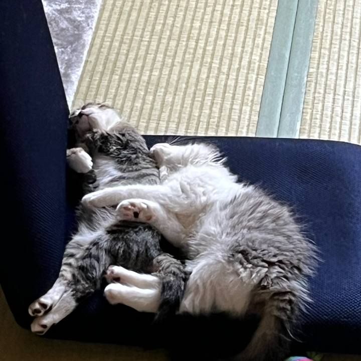 F21df23f c34f 460b 907b 4bc8e044937e 1688198555661